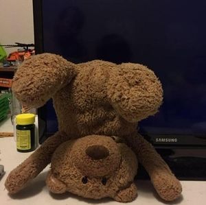 Meet your Posher, Celeste